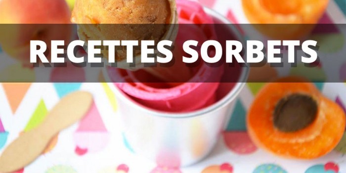 Faire facilement des sorbets coco et cassis à la sorbetière